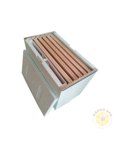 KIT SCIAMATURA ARNIA POLISTIROLO CON TELAINI E NUTRITORE | MONDO APE