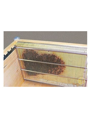 Isolatore regina antivarroa