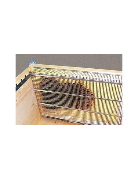 Isolatore regina antivarroa