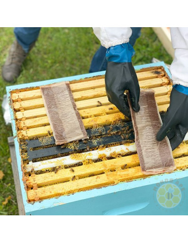 FORMIC PRO 20 STRISCE ACIDO FORMICO IN GEL TRATTAMENTO PER 10 ALVEARI