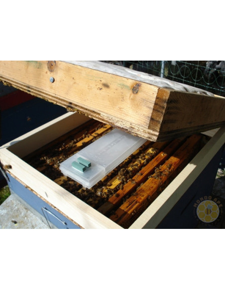 EVAPORATORE BIOLETALVARROA FORMIC PER ACIDO FORMICO | MONDO APE