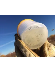 EASY CHECK DISPOSITIVO MONITORAGGIO VARROA RIUTILIZZABILE CON CONTEGGIO ACARI | MONDO APE 2