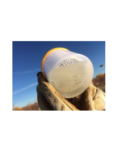 EASY CHECK PER MONITORAGGIO INFESTAZIONE DA VARROA