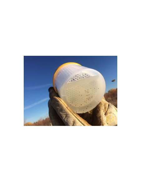 EASY CHECK PER MONITORAGGIO INFESTAZIONE DA VARROA