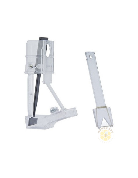 COGLI REGINA PER GABBIETTA MOZZATO BLOCCO COVATA CON FORCELLA MARCATURA | MONDO APE