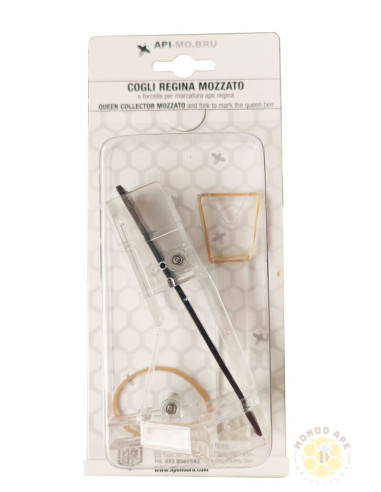 COGLI REGINA MOZZATO CON FORCELLA PER MARCARE LA REGINA