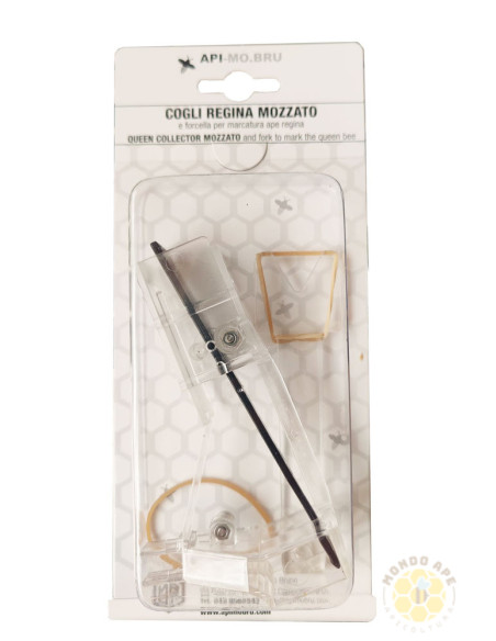 COGLI REGINA PER GABBIETTA MOZZATO BLOCCO COVATA CON FORCELLA MARCATURA | MONDO APE