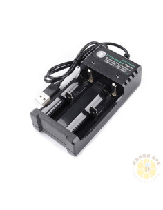 CARICABATTERIA USB