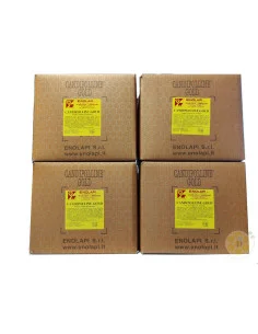 CANDIPOLLINE GOLD CANDITO CON POLLINE 4 SCATOLE DA 12 KG MADE IN ITALY | MONDO APE