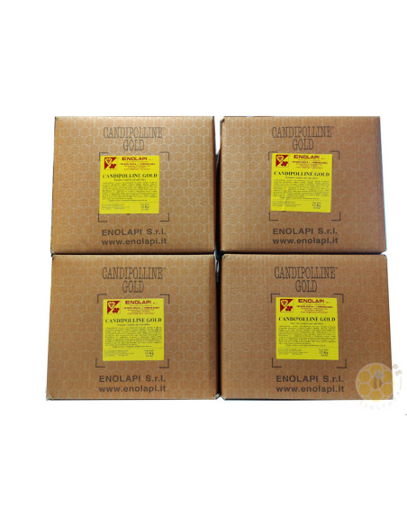 CANDIPOLLINE GOLD CANDITO CON POLLINE 4 SCATOLE DA 12 KG MADE IN ITALY | MONDO APE