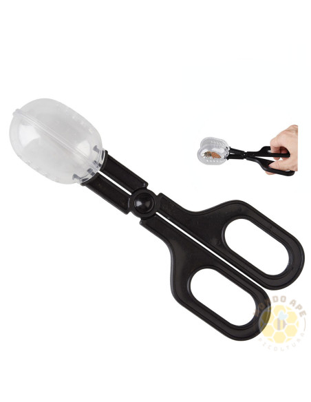 CATTURA REGINE CON IMPUGNATURA A FORBICE | MONDO APE