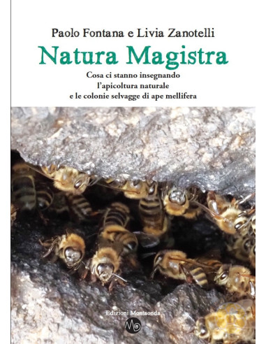 NATURA MAGISTRA APICOLTURA NATURALE E API SELVAGGE | MONDO APE