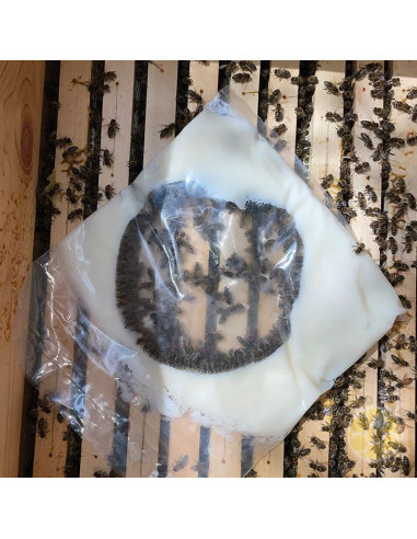 BEESTRONG CANDY CANDITO PER UNA COVATA FORTE BUSTA DA 1000 GRAMMI 1KG 