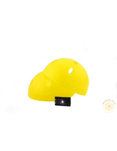 SFERA TRAP ECOTRAPPOLA PER VESPA VELUTINA e insetti volanti nocivi