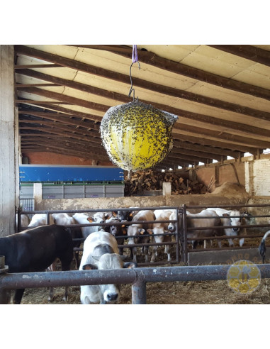 SFERA TRAP ECOTRAPPOLA PER VESPA VELUTINA e insetti volanti nocivi