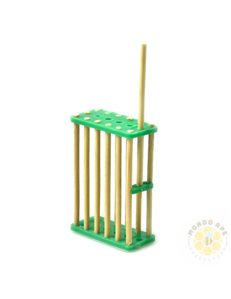 GABBIETTA CINESE BLOCCO COVATA IN BAMBOO CON ASTICINA | MONDO APE