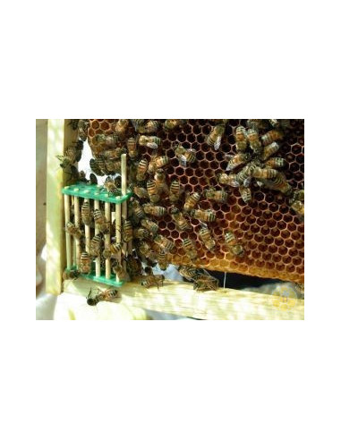 GABBIETTA CINESE BLOCCO COVATA IN BAMBOO CON ASTICINA | MONDO APE