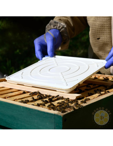 EVAPORATORE FAM DISPENSER PER ACIDO FORMICO BIOVET | MONDO APE