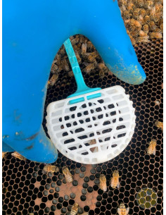 GABBIETTA BLOCCO COVATA MINI ME.GA PER REGINA | MONDO APE 2