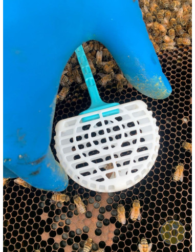 GABBIETTA BLOCCO COVATA MINI ME.GA PER REGINA | MONDO APE