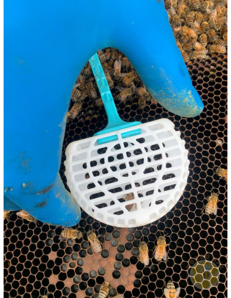 GABBIETTA MINI MEGA PER BLOCCO COVATA INGABBIAMENTO REGINA