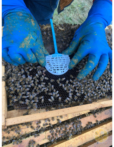 GABBIETTA BLOCCO COVATA MINI ME.GA PER REGINA | MONDO APE