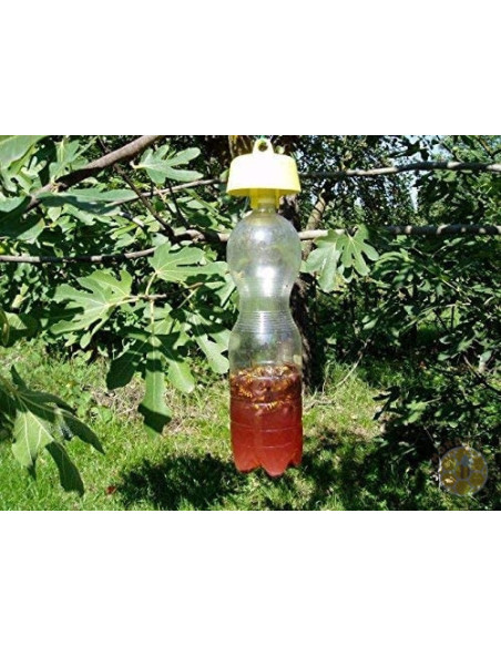 Tap Trap - Trappola per vespe e calabroni