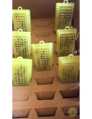 APE REGINA LIGUSTICA FECONDATA SELEZIONATA | MONDO APE