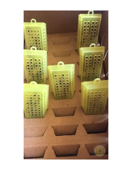 APE REGINA LIGUSTICA FECONDATA SELEZIONATA | MONDO APE