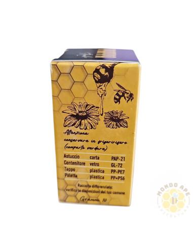 SCATOLINA PER PAPPA REALE 25 PEZZI