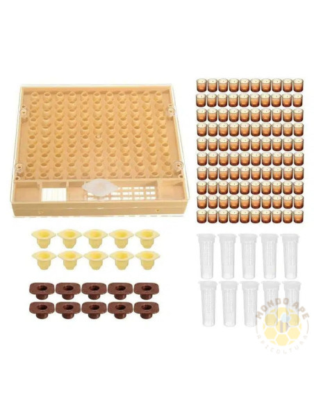 KIT CUPOLARVE COMPLETO NICOT PER PRODUZIONE API REGINE | MONDO APE