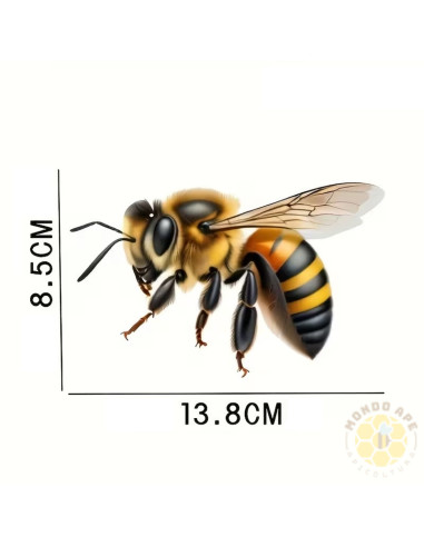 ADESIVO IN VINILE APE 8 5x13 8 cm