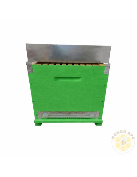 ARNIA CUBO 10 FAVI DB VERNICIATA CON FONDO ANTIVARROA E TELAINI | MONDO APE