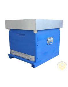 Arnia Cubo 10 favi Dadant Blatt Verniciata senza Melario con fondo antivarroa