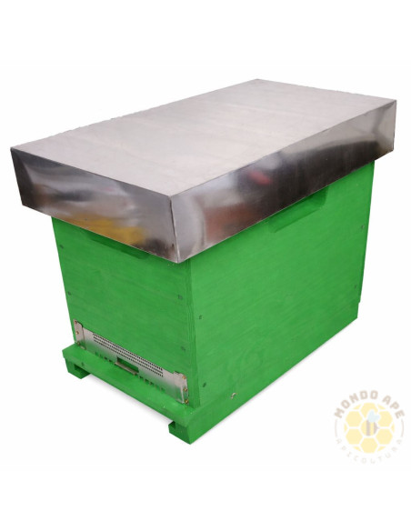 Arnia Cubo Dadant Blatt 6 favi Verniciata con fondo antivarroa