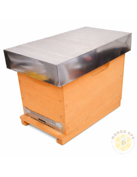 Arnia Cubo Dadant Blatt 6 favi Verniciata con fondo antivarroa