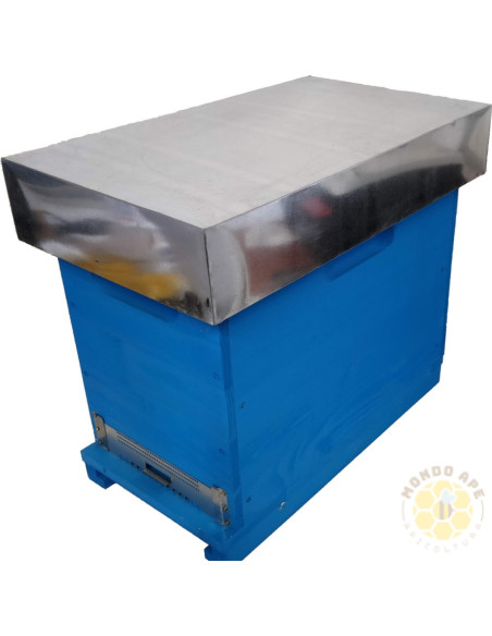 Arnia Cubo Dadant Blatt 6 favi Verniciata con fondo antivarroa