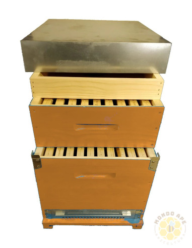 ARNIA CUBO BOX VERNICIATA DB 10 FAVI COMPLETA DI MELARIO E TELAINI