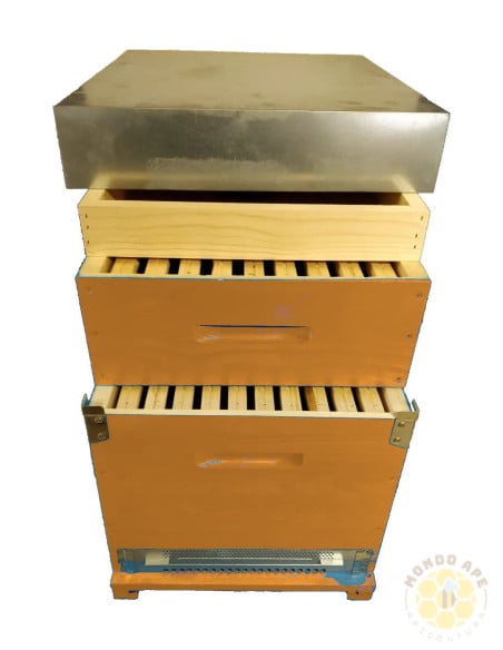 ARNIA BOX CUBO VERNICIATA COMPLETA CON MELARIO E TELAINI | MONDO APE