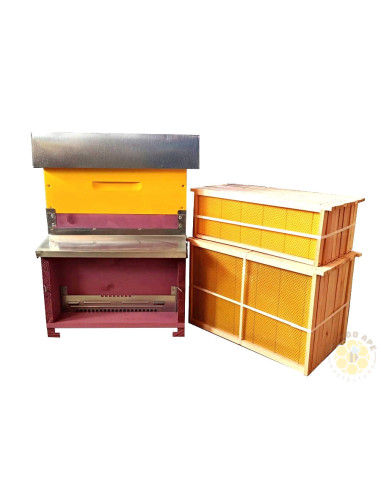 ARNIA NOMADISMO VERNICIATA COMPLETA DI MELARIO CON TELAINI CERATI