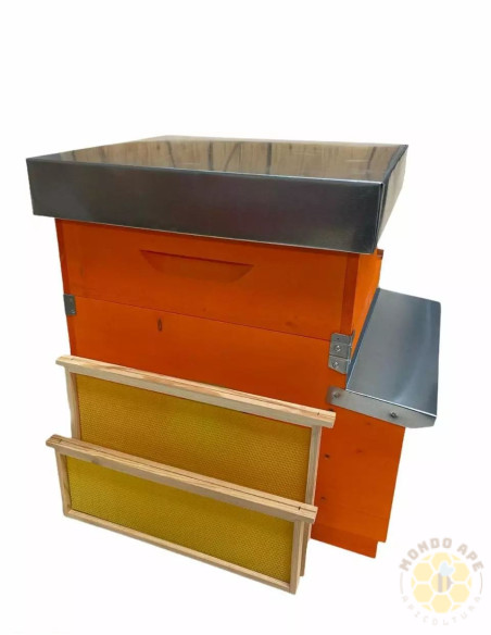 ARNIA NOMADISMO VERNICIATA COMPLETA DI MELARIO CON TELAINI CERATI