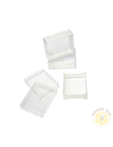 FAVETTO PER MIELE IN FAVO CON CUSTODIA TRASPARENTE | MONDO APE