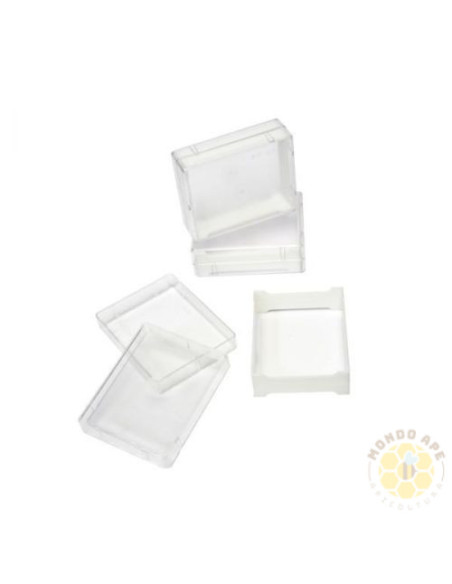 FAVETTO PER MIELE IN FAVO CON CUSTODIA TRASPARENTE | MONDO APE