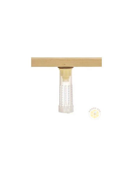 GABBIETTA ESCLUDI REGINA CON TAPPO NUTRITORE TRASPARENTE | MONDO APE