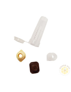 KIT GIOCO REGINE CON BIGODINO E BLOCCO CUPOLINI | MONDO APE 2