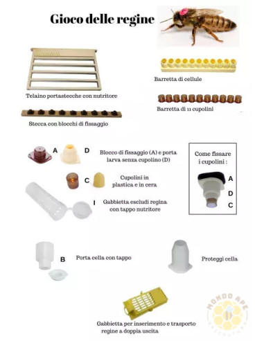 CUPOLINI IN PLASTICA PER PAPPA REALE E ALLEVAMENTO REGINE 100 PEZZI | MONDO APE