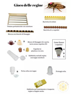 CUPOLINI IN PLASTICA PER PAPPA REALE E ALLEVAMENTO REGINE 1000 PEZZI | MONDO APE 2