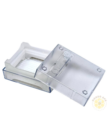 FAVETTO PER MIELE IN FAVO CON CUSTODIA TRASPARENTE | MONDO APE