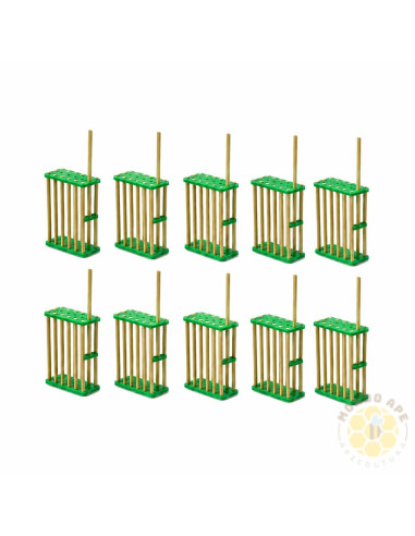 SET 10 GABBIETTE BLOCCO COVATA PER REGINA | MONDO APE