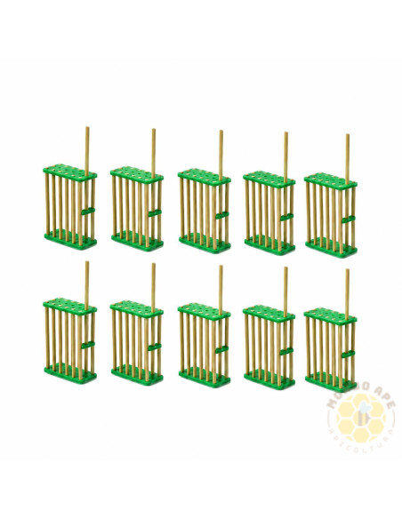 SET 10 GABBIETTE BLOCCO COVATA PER REGINA | MONDO APE